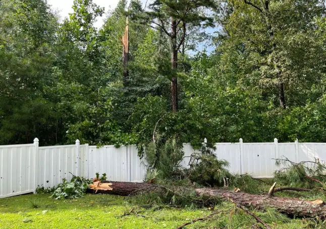 Fence repair houston texas